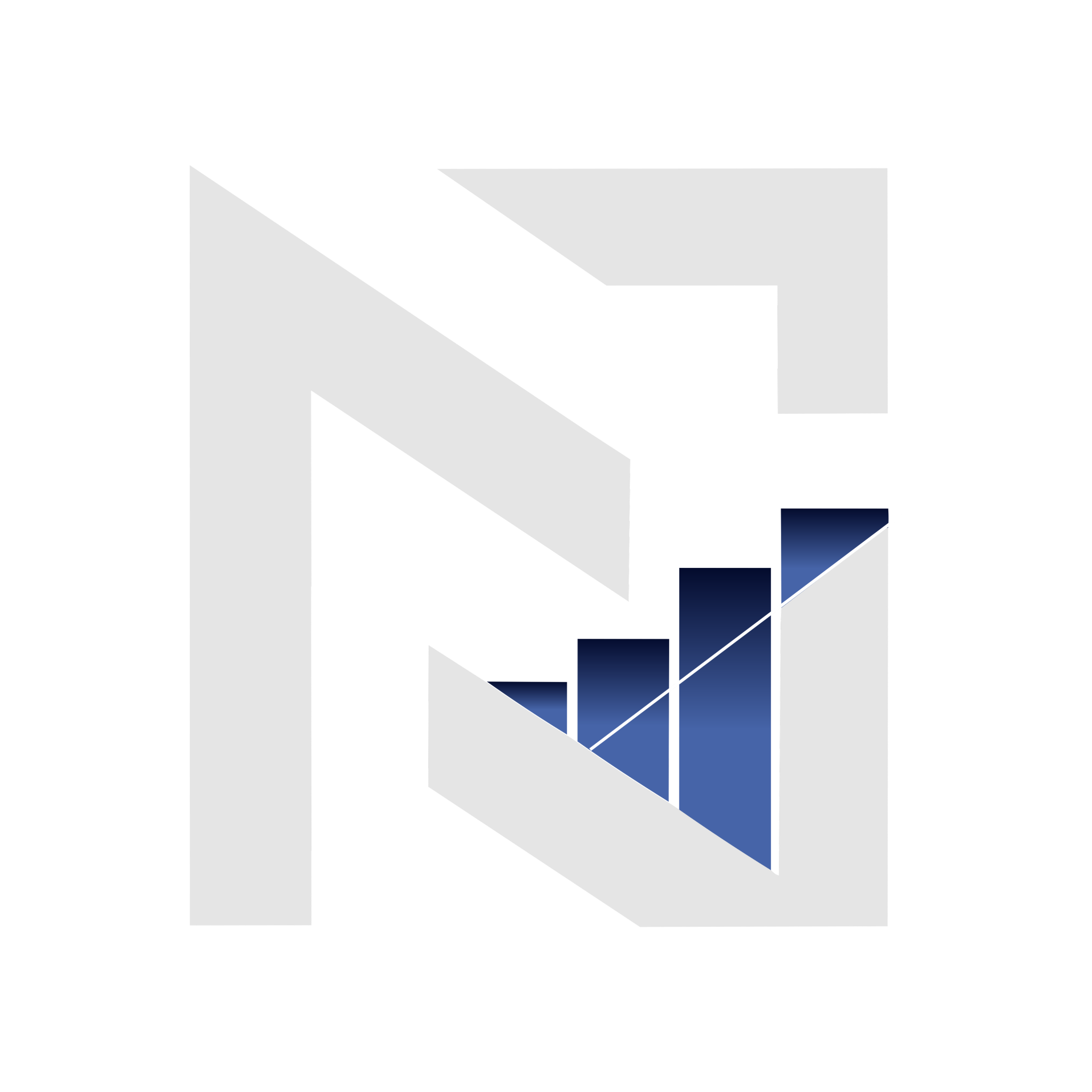 Monogramme officiel NG Division